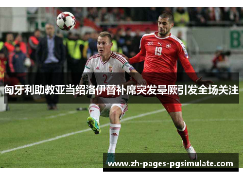 匈牙利助教亚当绍洛伊替补席突发晕厥引发全场关注