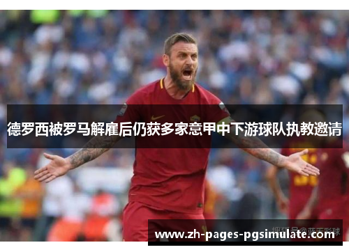 德罗西被罗马解雇后仍获多家意甲中下游球队执教邀请